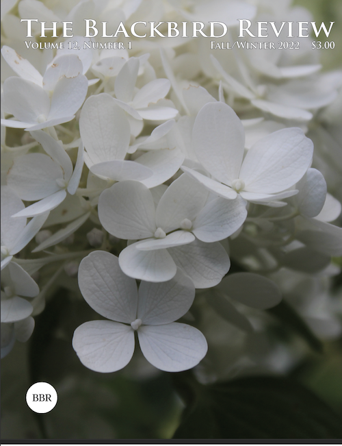 BBR-fallwinter22_coverthumb